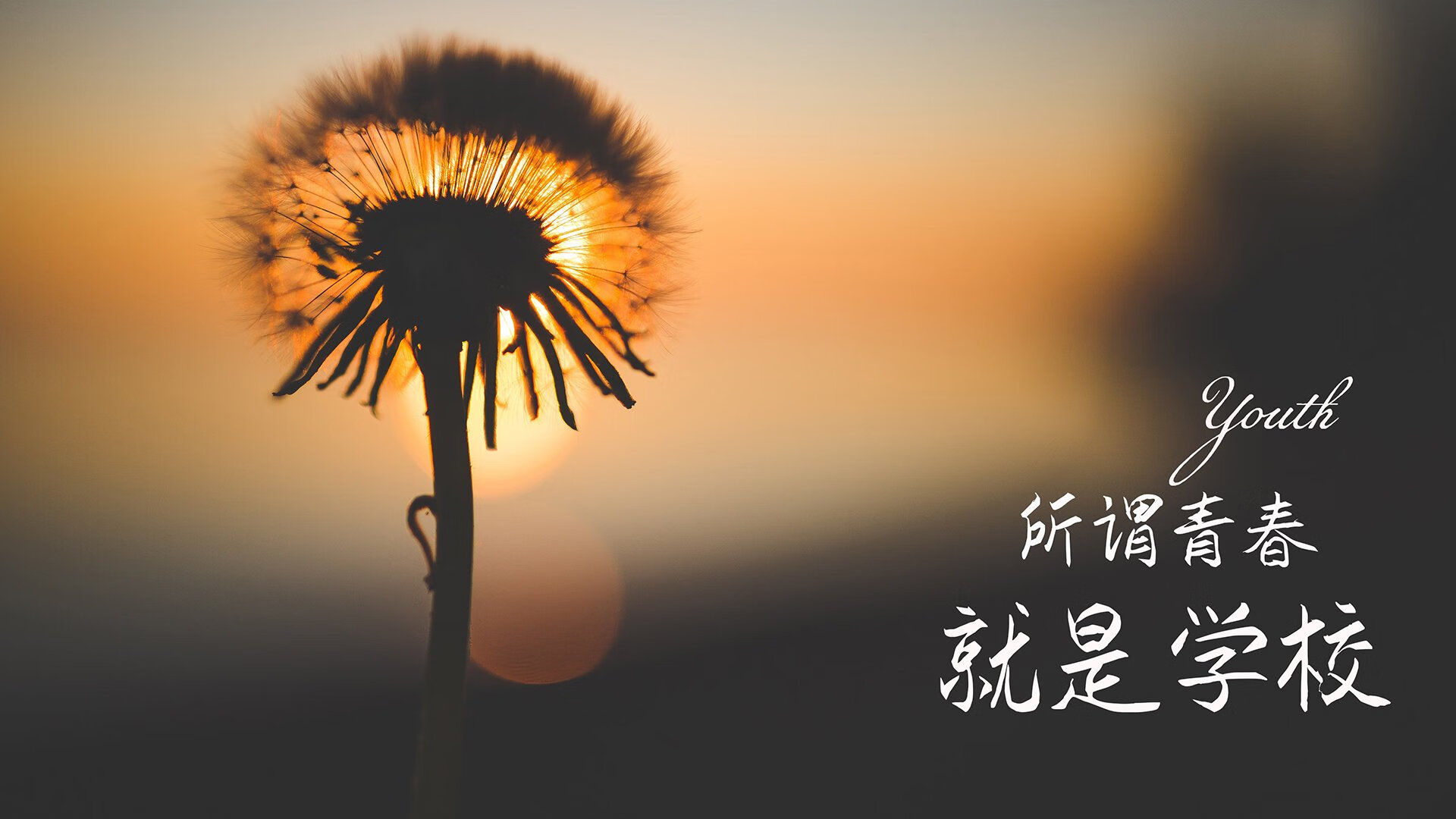 足球数据分析大赛吸引高校技术人才参赛，足球数据分析大师app