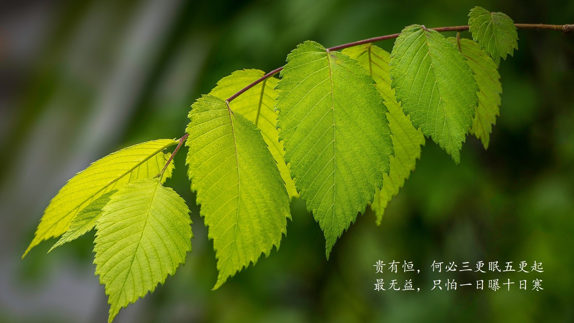 kaiyun官方入口登录-尤文图斯主场失利，遭遇边缘降级危机，尤文图斯主队球场
