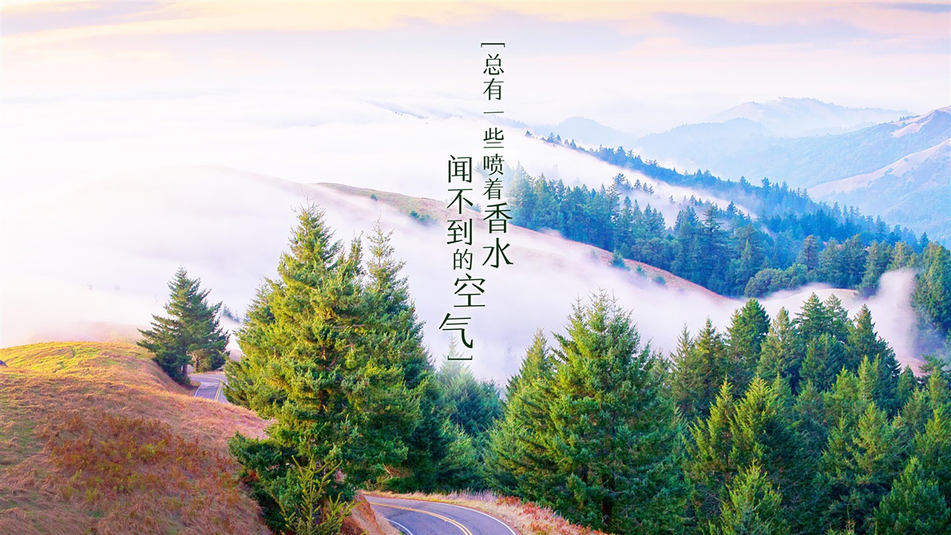 开云官方网页登录-淘汰赛在即，压力之下谁将脱颖而出，淘汰赛是什么_