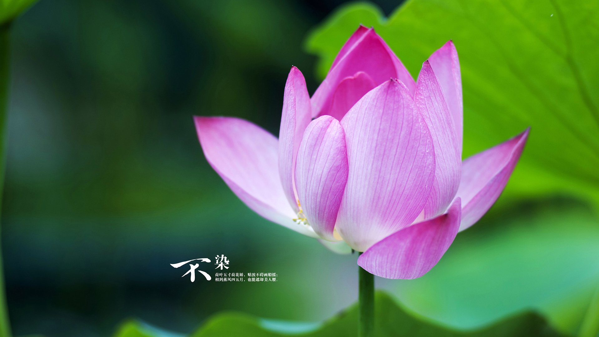 kaiyun体育app-科拉盼重返球场，卡利亚里前锋渴望复出，卡利亚里转入球员