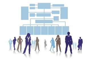 Kaiyun APP-高校体育师资队伍结构优化研究，加强学校体育教师队伍建设的重要性