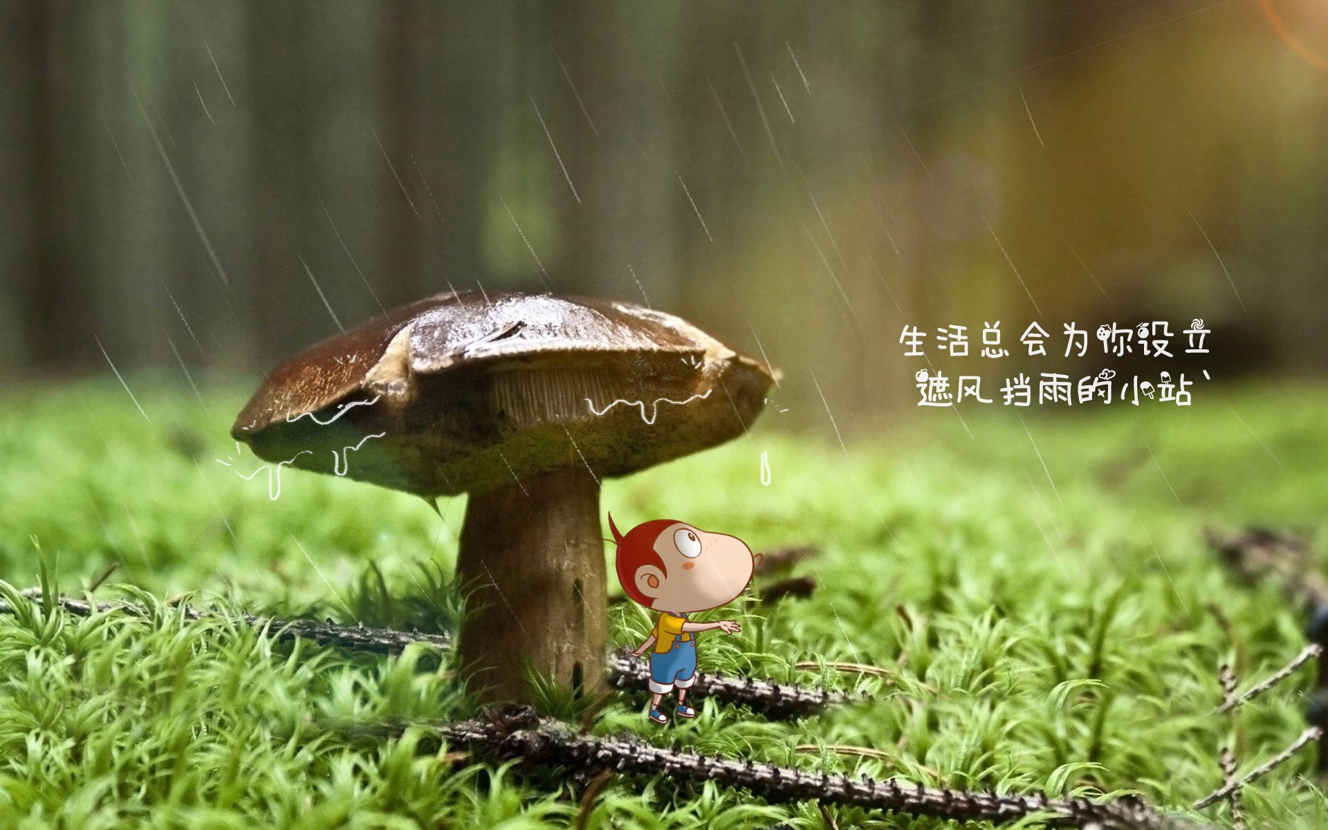 开云网页版登录入口-仰泳选手滑行延长，动作连贯，仰泳划水路线