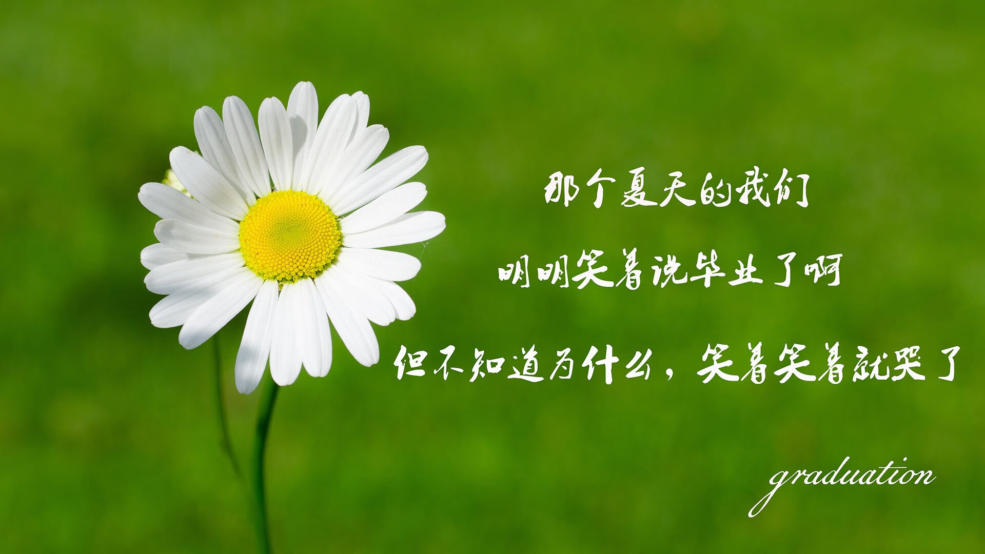 塞尔维亚女篮在欧洲锦标赛中表现出色,争夺冠军荣耀,塞尔维亚女篮 欧洲冠军