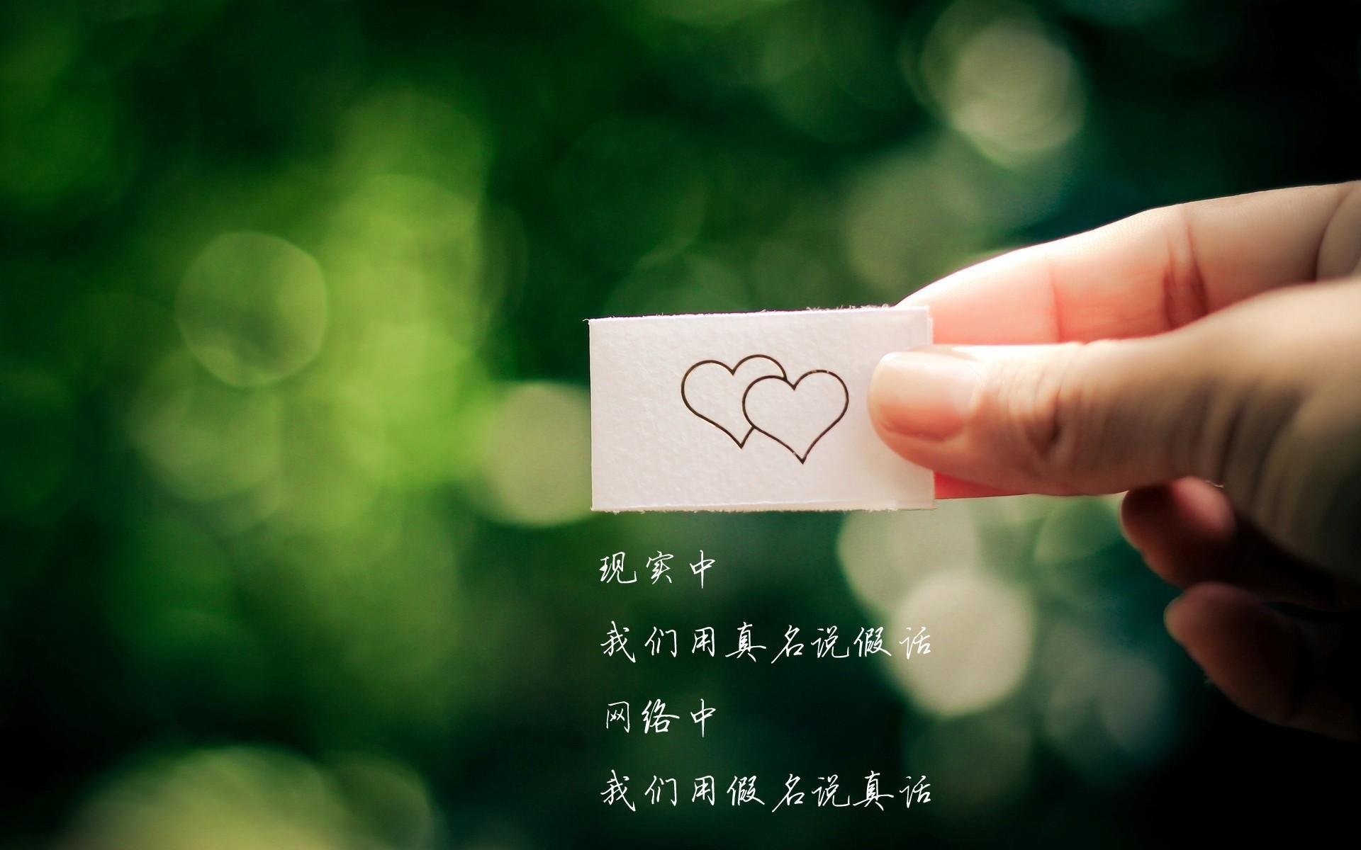开云官方-女子赛事观众人数创历史新高，女子团体决赛成绩
