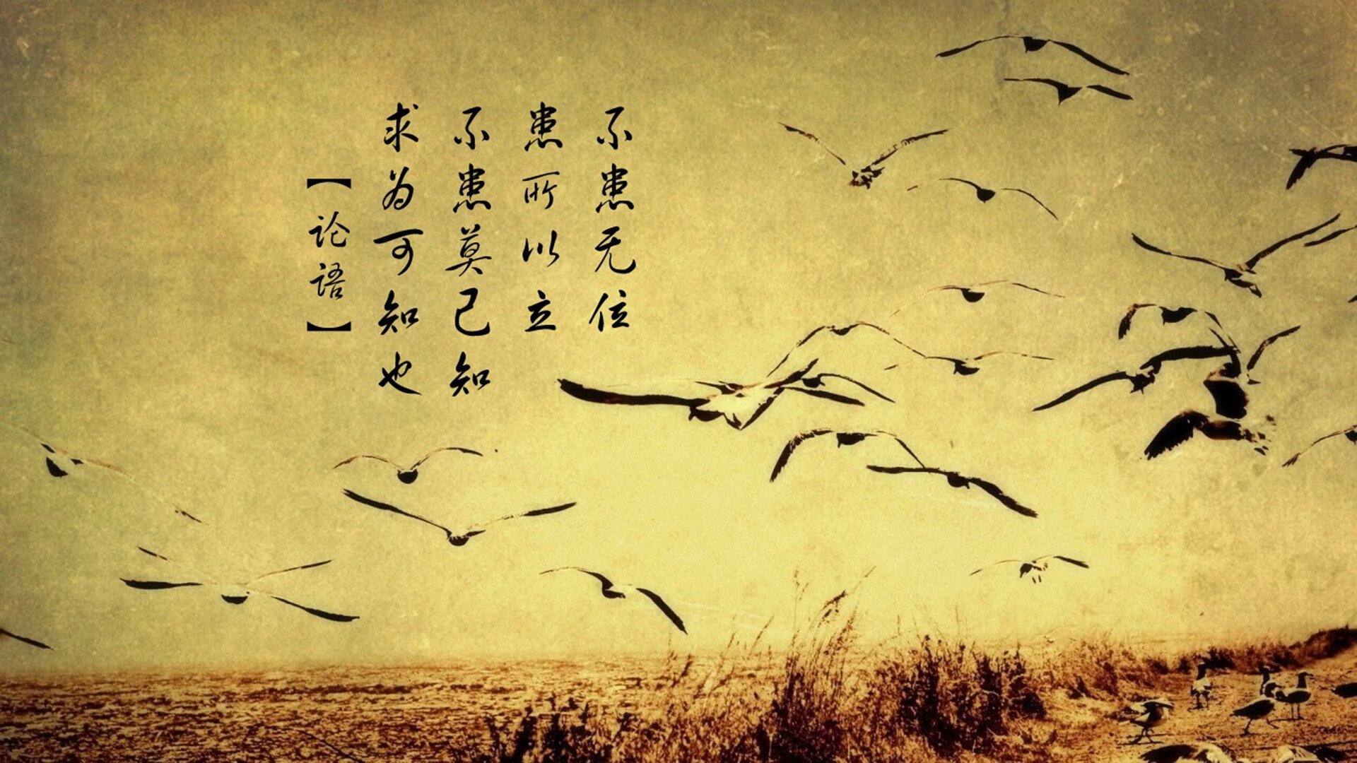 皮特·库策以强大心理素质掌控赛场,库得皮耶