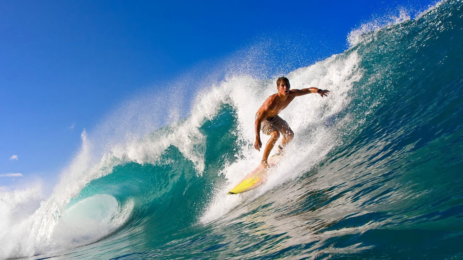 开云官方网站-俱乐部盈利模式：从门票到转播，收入多样化，俱乐部靠什么收入